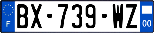 BX-739-WZ