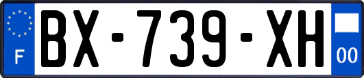 BX-739-XH