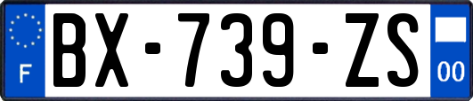 BX-739-ZS