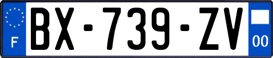 BX-739-ZV