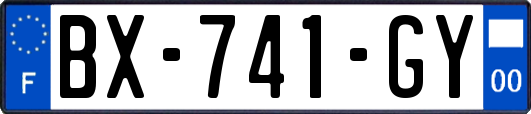 BX-741-GY