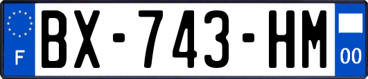 BX-743-HM