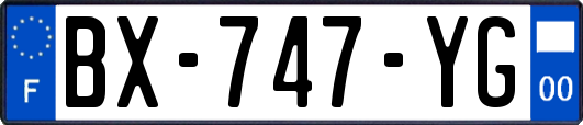 BX-747-YG