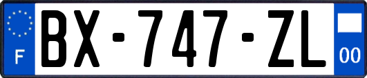 BX-747-ZL