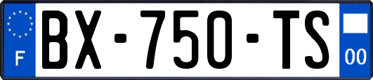 BX-750-TS