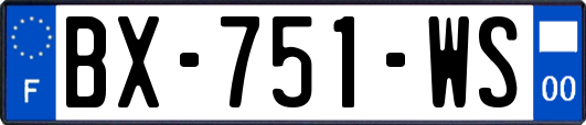 BX-751-WS