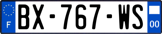 BX-767-WS