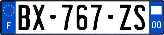 BX-767-ZS