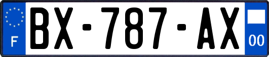 BX-787-AX