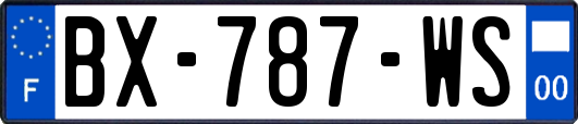 BX-787-WS