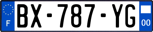 BX-787-YG