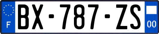 BX-787-ZS