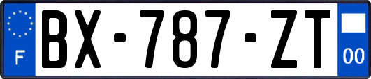 BX-787-ZT