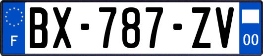 BX-787-ZV