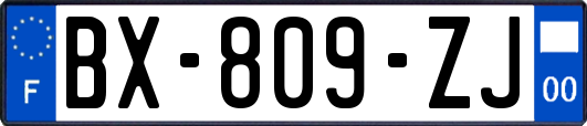 BX-809-ZJ