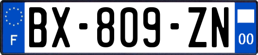 BX-809-ZN