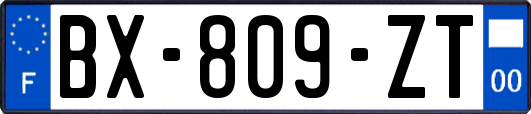 BX-809-ZT