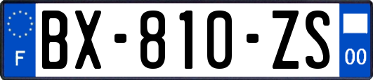 BX-810-ZS