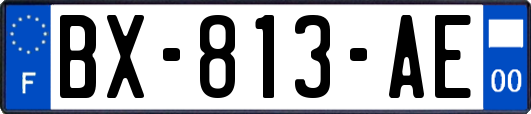 BX-813-AE