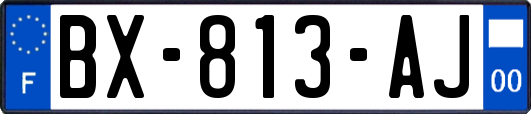 BX-813-AJ