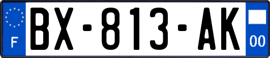 BX-813-AK