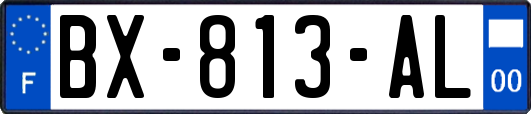 BX-813-AL