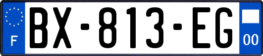 BX-813-EG