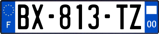 BX-813-TZ