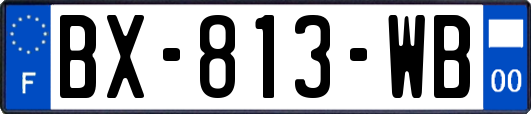 BX-813-WB