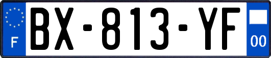 BX-813-YF