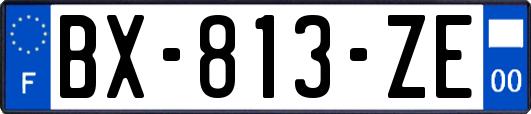 BX-813-ZE