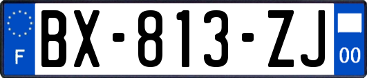 BX-813-ZJ