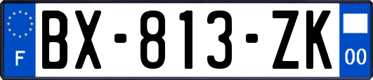 BX-813-ZK