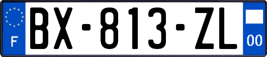 BX-813-ZL