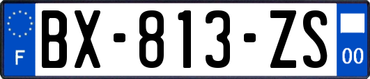 BX-813-ZS