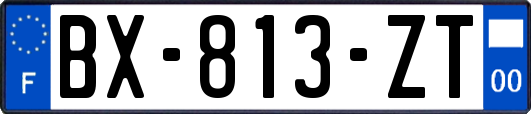 BX-813-ZT