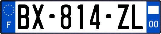 BX-814-ZL