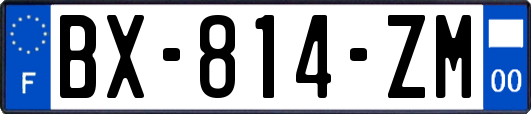 BX-814-ZM