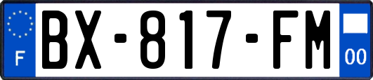 BX-817-FM