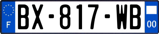 BX-817-WB