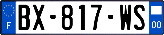 BX-817-WS