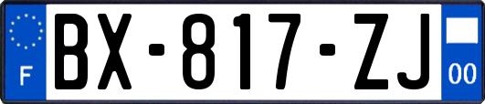 BX-817-ZJ