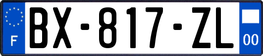 BX-817-ZL