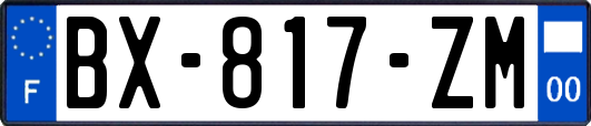 BX-817-ZM