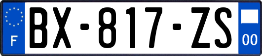 BX-817-ZS