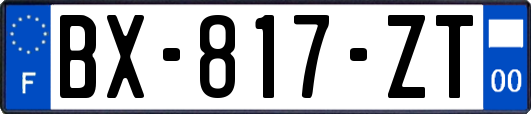 BX-817-ZT
