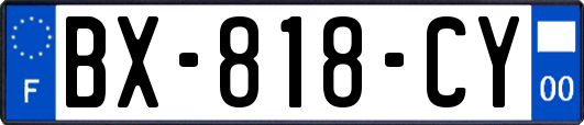 BX-818-CY