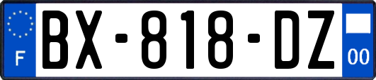 BX-818-DZ