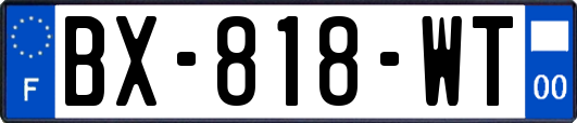 BX-818-WT