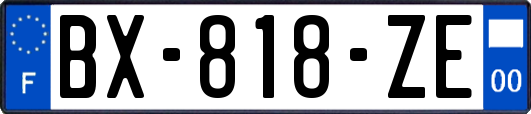 BX-818-ZE